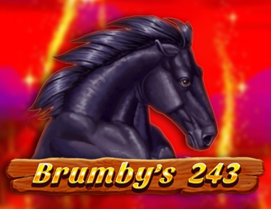 Brumby's 243