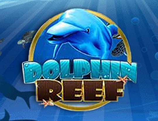 Dolphin reef