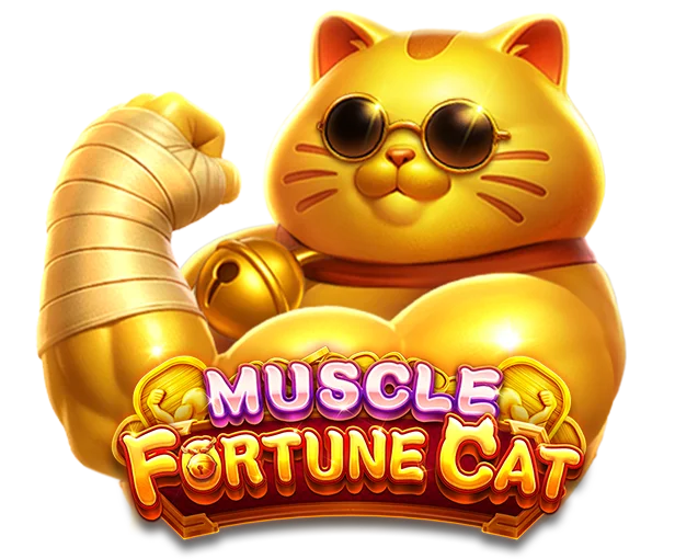 MUSCLE FORTUNE CAT