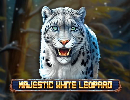 Majestic White Leopard