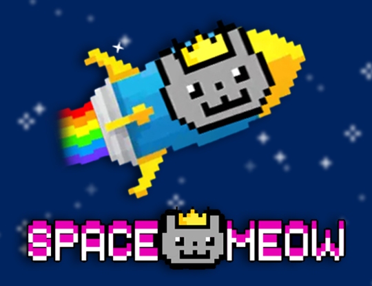 Space Meow