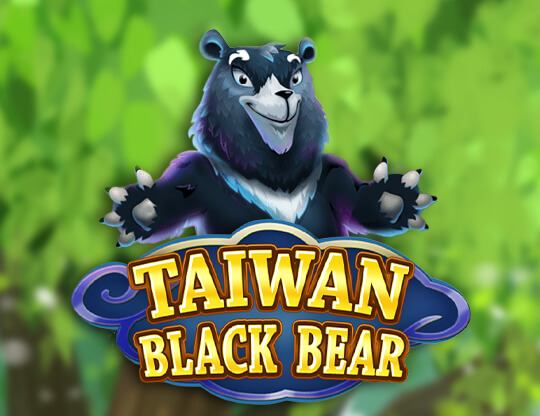 Taiwan Black Bear
