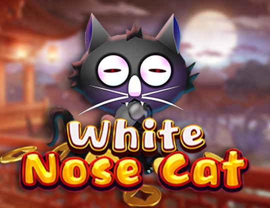 White Nose Cat