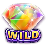 SUGAR BANG BANG Wild