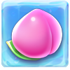 SUGAR BANG BANG Peach