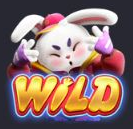 Fortune Rabbit Wild