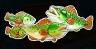 Big Bass Bonanza Fish / MONEY
