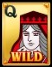 WILD ACE Golden Q Wild