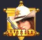 Wild Bounty Showdown Wild