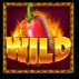 Fiesta Fortune Wild