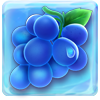 SUGAR BANG BANG Grapes