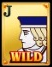 WILD ACE Golden J Wild