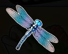 Big Bass Bonanza Dragonfly