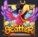 Captain’s Bounty Scatter