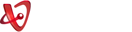 Neon Valley Studios logo