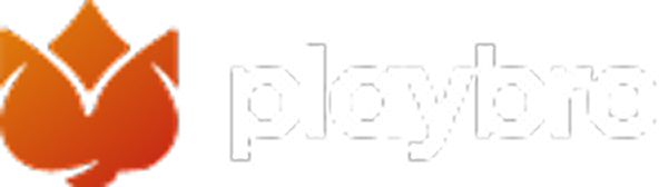 Playbro logo