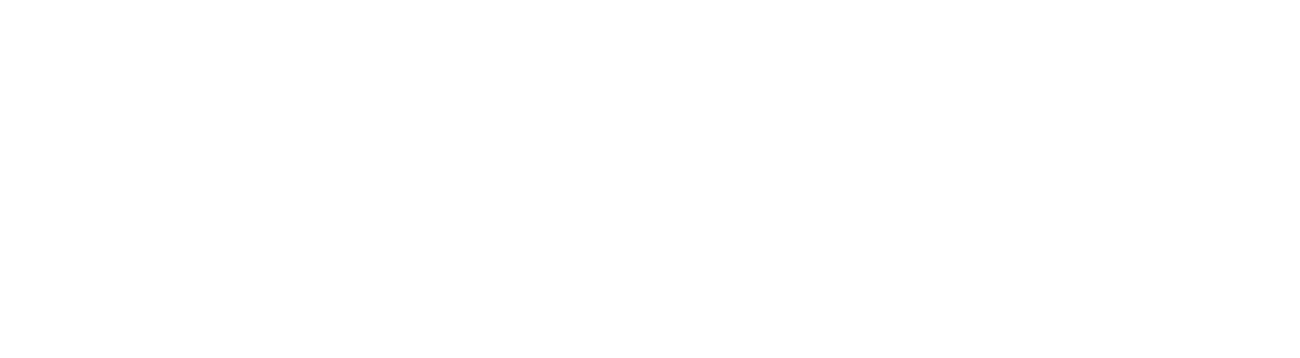 Thunderspin logo