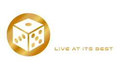 Vivo Gaming logo
