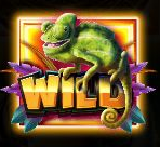 Jumbo Safari WILD