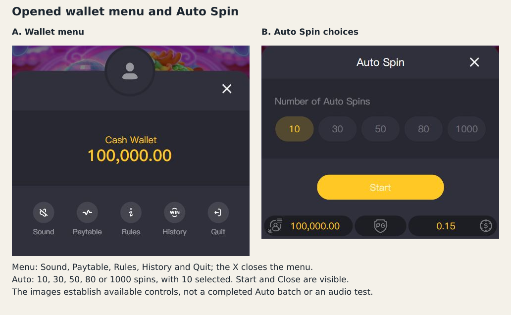 Opened wallet menu beside the actual Auto Spin options