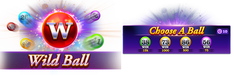 Help illustration of a Wild Ball and candidate-number selection