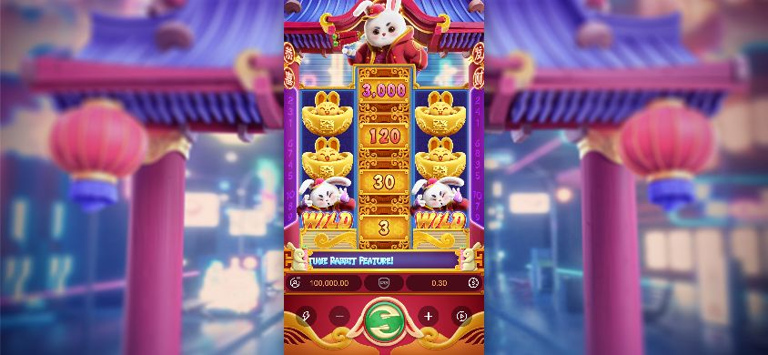 Actual 844 by 390 landscape viewport with a narrow upright game in the centre