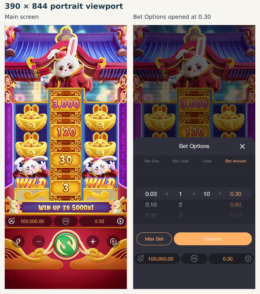 Equal-sized 390 by 844 portrait main screen and opened Bet Options
