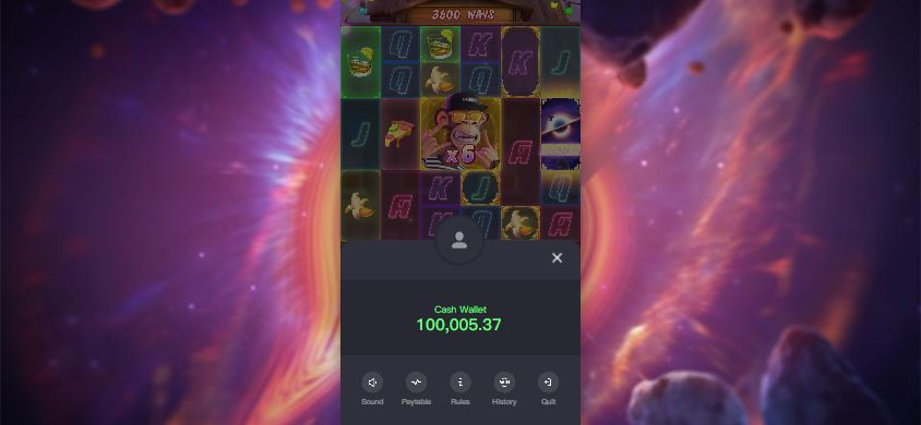 Opened wallet menu in the same 844 by 390 landscape viewport