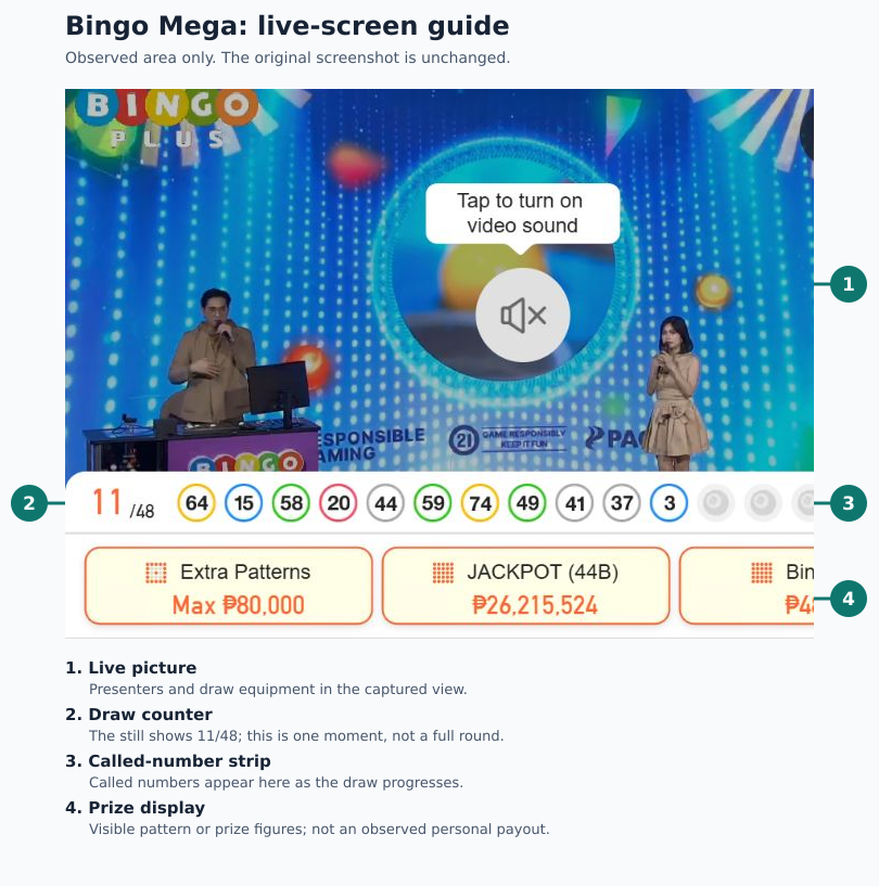 Bingo Mega observed desktop area: numbered guide to live picture, 11/48 counter, called-number strip and prize display Bingo Mega observed desktop area: numbered guide to live picture, 11/48 counter, called-number strip and prize display