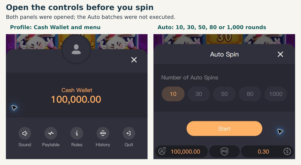 Opened Cash Wallet menu beside the Auto Spin count selector
