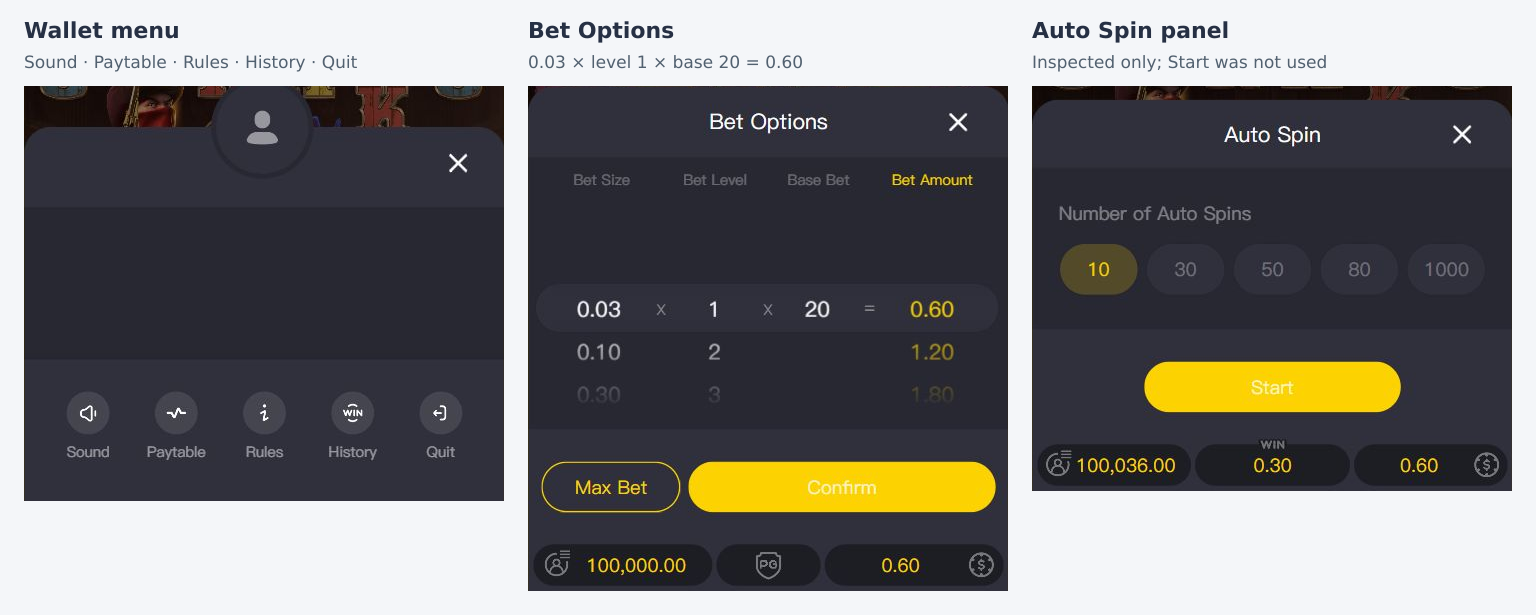 Actual wallet menu, Bet Options and Auto Spin panels showing 0.60 bet settings and available spin counts