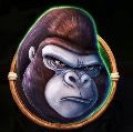 Jumbo Safari Gorilla