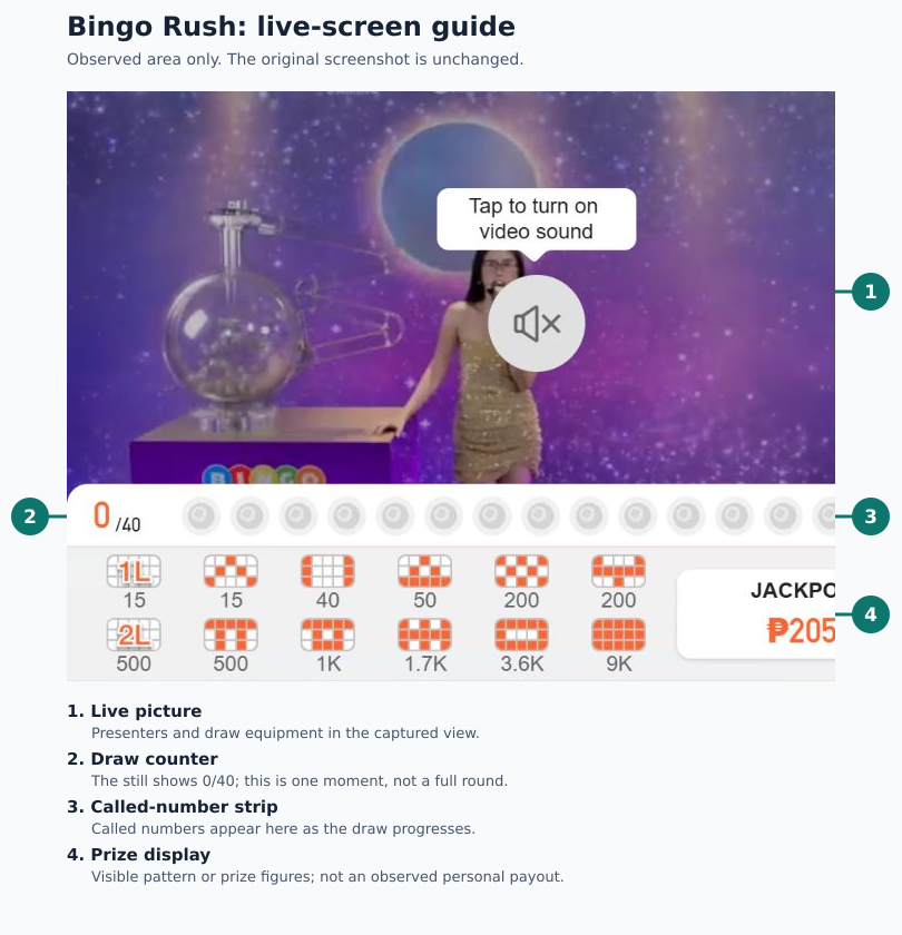 Bingo Rush observed desktop area: numbered guide to live picture, 0/40 counter, called-number strip and prize display