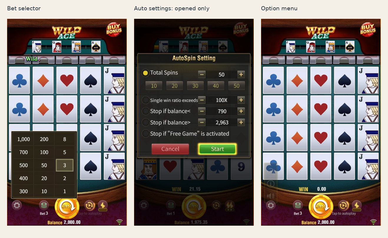 Actual Wild Ace bet selector, AutoSpin settings and expanded Option menu
