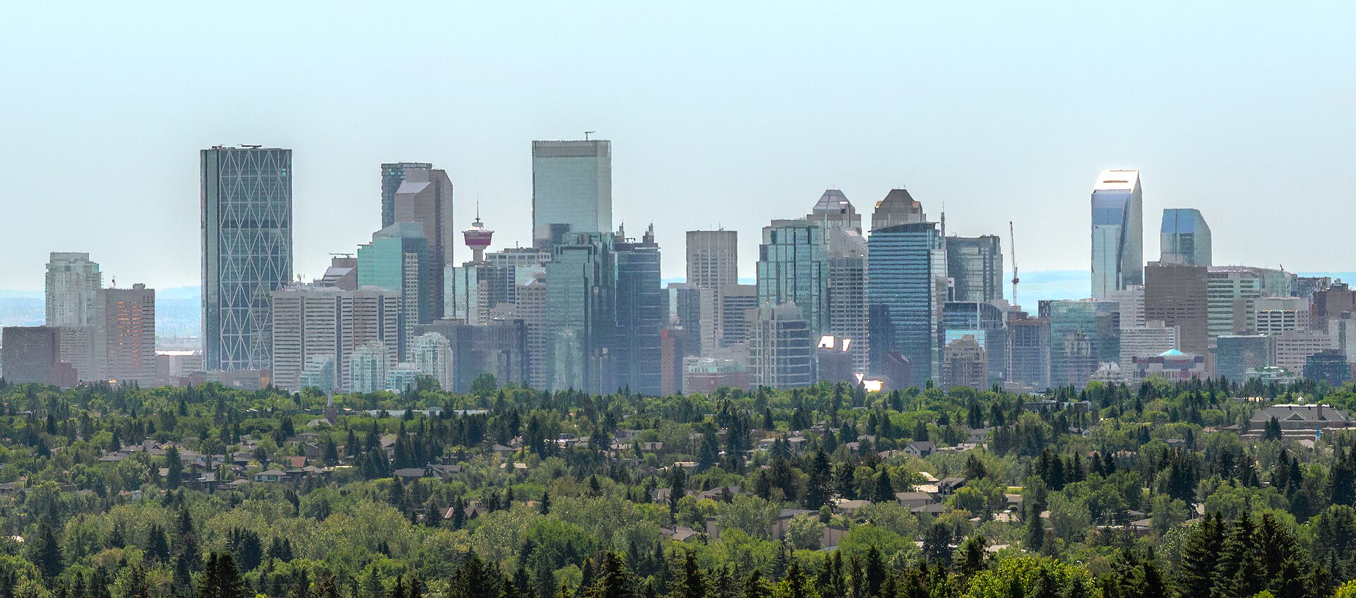 Downtown Calgary skyline rising above tree-covered residential neighbourhoods, Alberta, Canada
