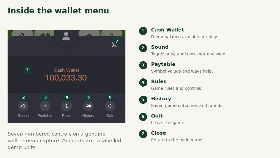 The actual wallet menu with seven numbered callouts for Cash Wallet, Sound, Paytable, Rules, History, Quit and Close. The actual wallet menu with seven numbered callouts for Cash Wallet, Sound, Paytable, Rules, History, Quit and Close.