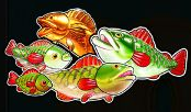 Big Bass Splash Fish / Money
