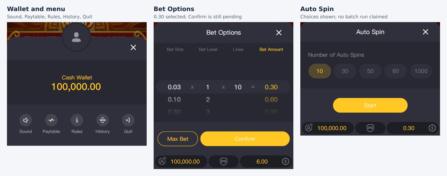 Actual opened wallet menu, Bet Options with 0.30 selected, and Auto Spin choices