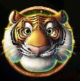 Jumbo Safari Tiger