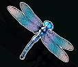 Big Bass Splash Dragonfly