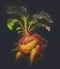 Forbidden Alchemy Mandrake