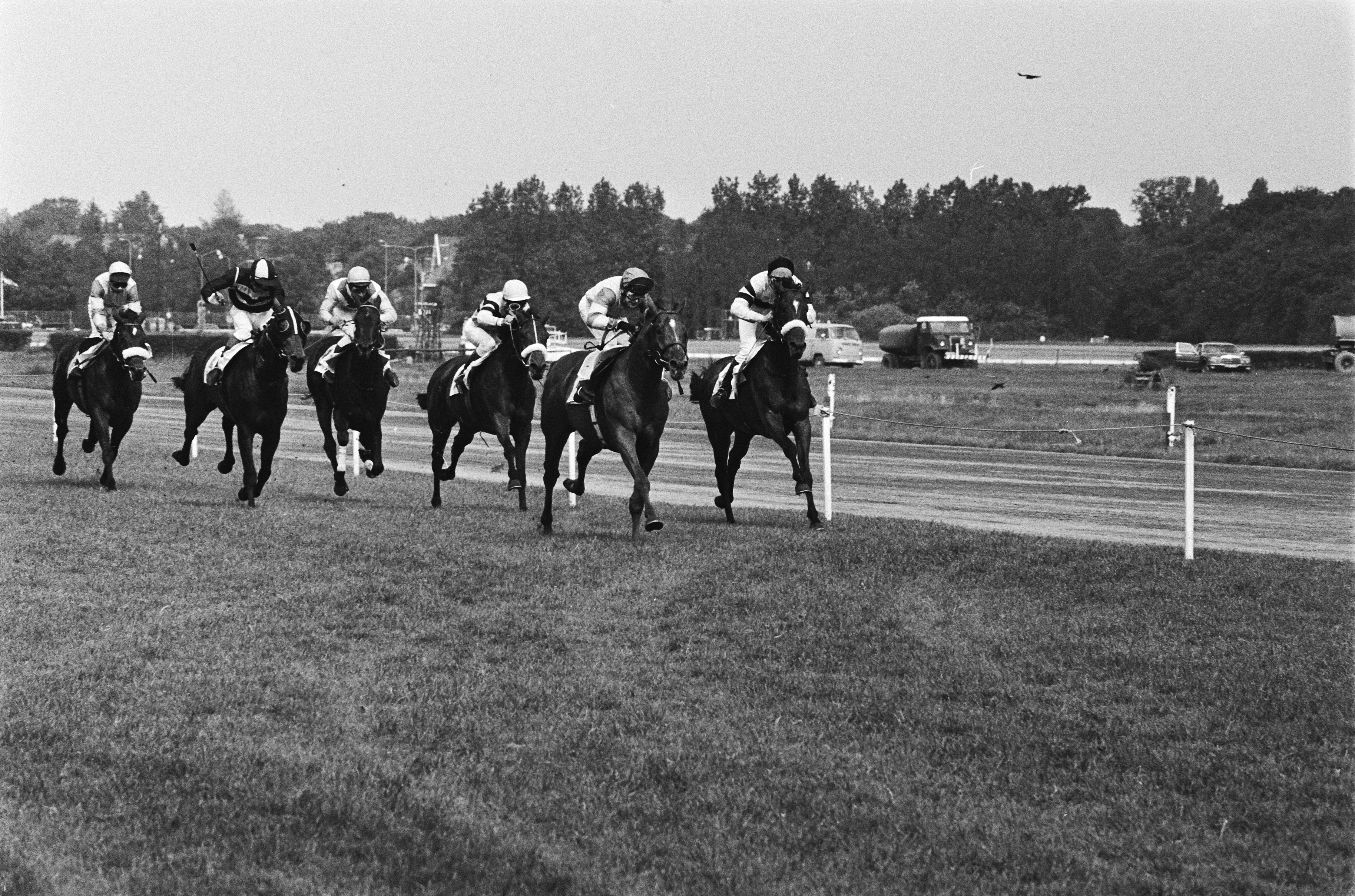 Jockeys and horses at the finish of the Derby at the Duindigt racecourse in Wassenaar, 1980
