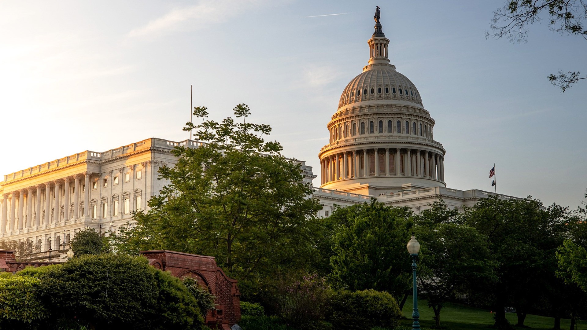 The US Capitol building in Washington, DC, at sunrise, seen above trees on the Capitol grounds